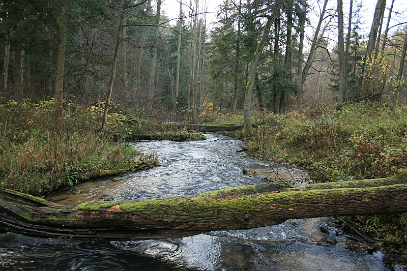 Rostoczek 11.2008 064